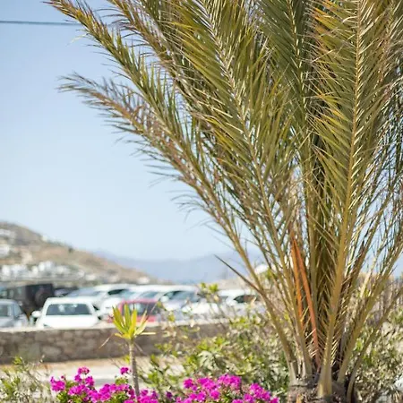 Eleftheria & * Ornos (Mykonos)