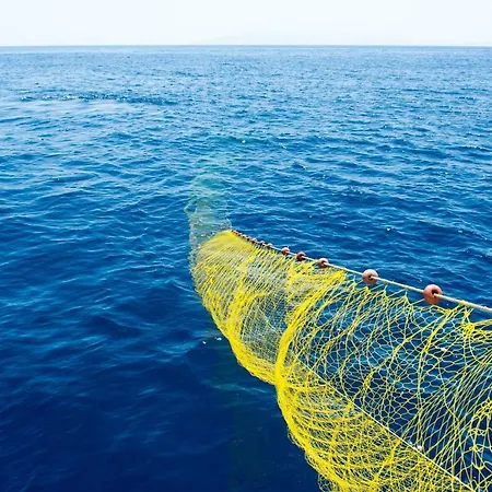 Eleftheria & * Ornos (Mykonos)